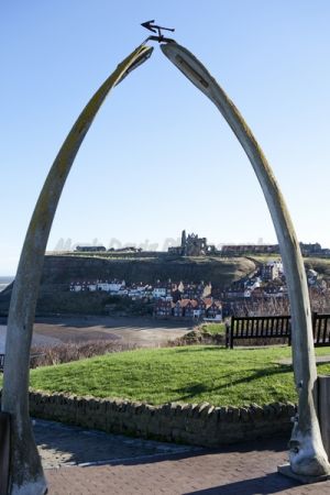 goth whitby 113.jpg
